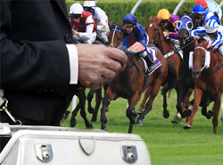 Live Grey Hound Racing