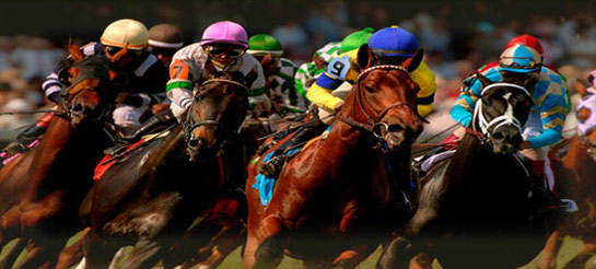 Best Odds Gauranteed