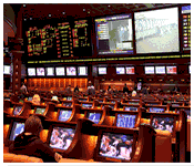 Sports Bookies Sports Bookies